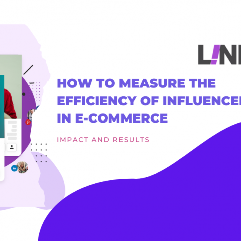 How to Measure the Efficiency of Influencers in E-Commerce - 2022